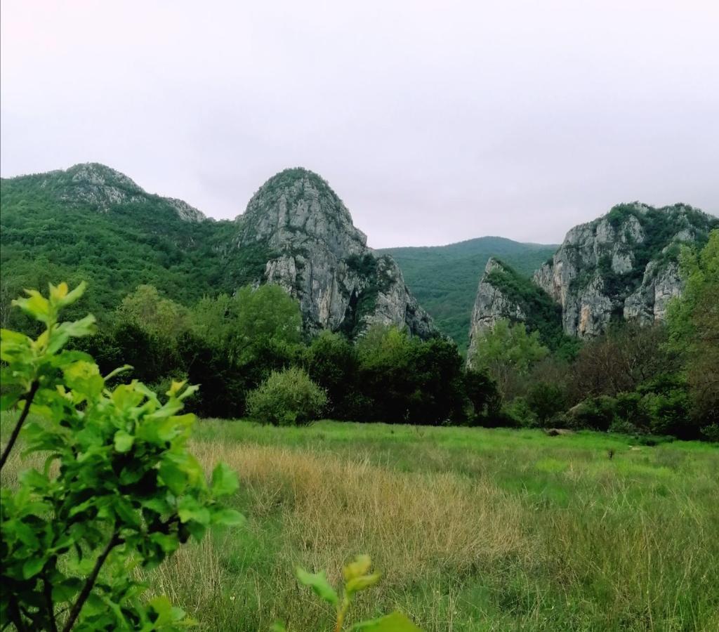 Konak Jerma Pirot Buitenkant foto